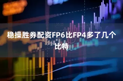 稳操胜券配资FP6比FP4多了几个比特