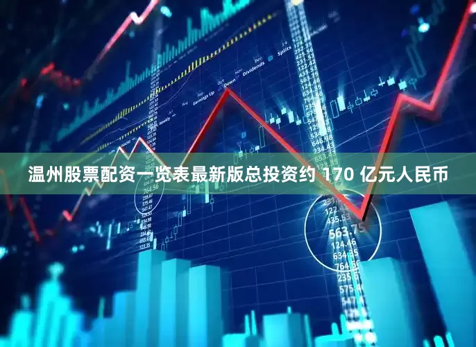 温州股票配资一览表最新版总投资约 170 亿元人民币