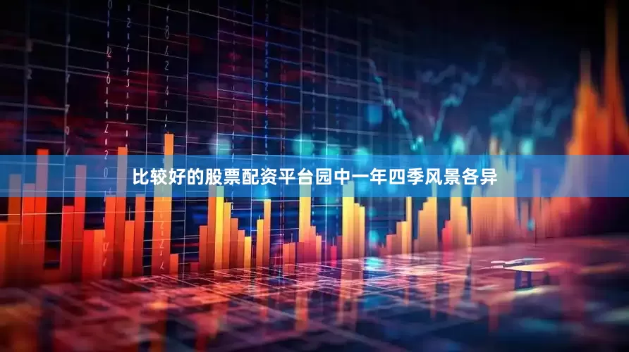 比较好的股票配资平台园中一年四季风景各异